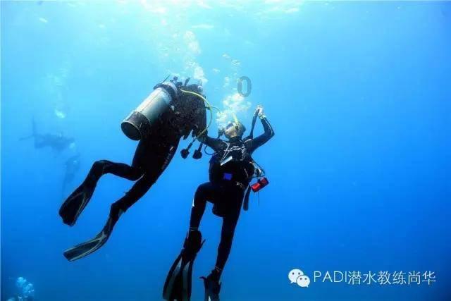 看门狗